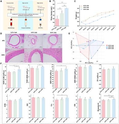 Microbiome-metabolome analysis insight into the effects of high-salt diet on hemorheological functions in SD rats